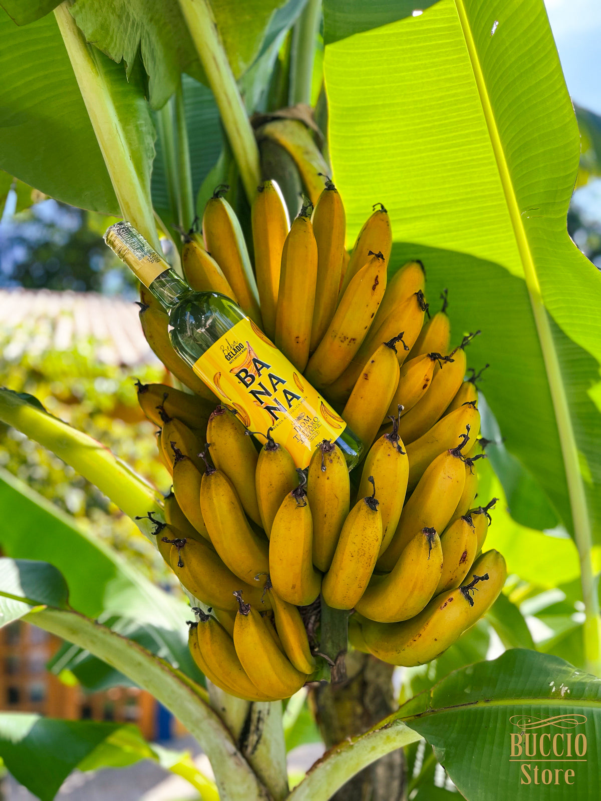 Liquore alla Banana – 700ml