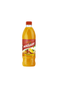 CONCENTRADO DE MARACUJÁ MAGUARY – 500 ml
